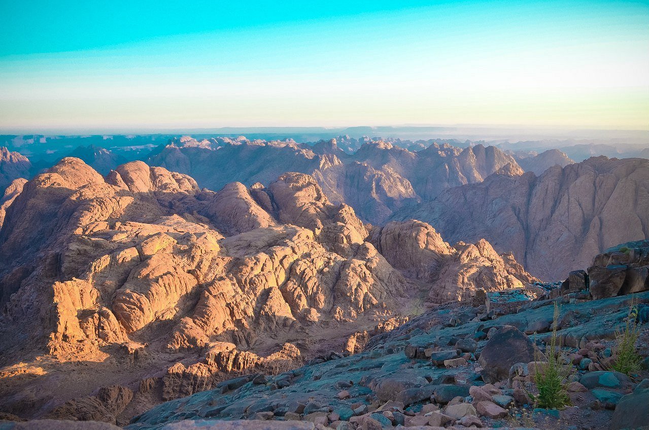 Mountain Voice Registration